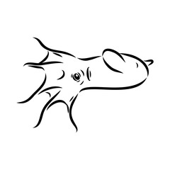 infernal vampire and the sea octopus is red on dark green, isolated. seamless octopus