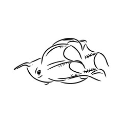 infernal vampire and the sea octopus is red on dark green, isolated. seamless octopus