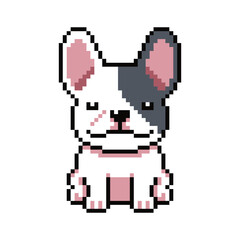 Fototapeta premium Pixel art french bulldog vector in retro style for design.
