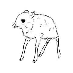 continuous lines mouse deer logo symbol vector icon illustration graphic design