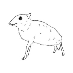 continuous lines mouse deer logo symbol vector icon illustration graphic design