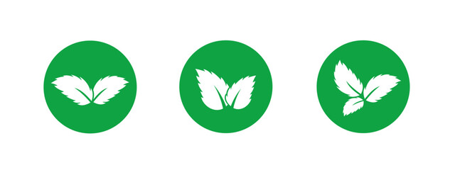 A minimalistic green leaf icon with a clean line design, symbolizing eco friendly products, sustainability, and renewable energy, ideal for logos, stickers, and organic branding.