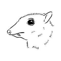 continuous lines mouse deer logo symbol vector icon illustration graphic design