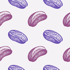 Vector engraved seamless pattern with fruits of Akebia seeds, fruits. Hand drawn repeating background with exotic Asian plant chocolate vine Acacia. Food, drink, ingredient. Design for label, textile