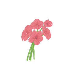pink flower isolated on white background