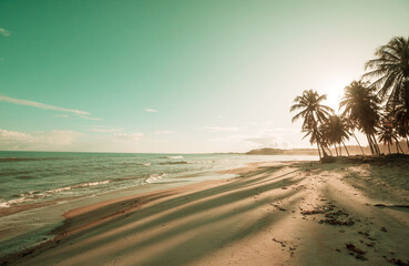 Tropical beach