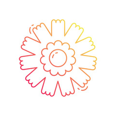 Dianthus vector icon