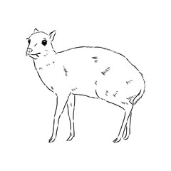 continuous lines mouse deer logo symbol vector icon illustration graphic design