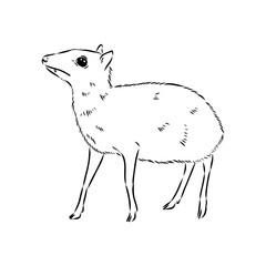 continuous lines mouse deer logo symbol vector icon illustration graphic design