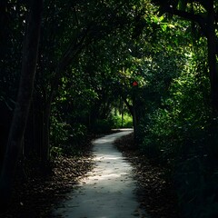 Obraz premium Forest Peaceful Path Nature Pathway Green Greenery Forest Road