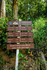 Hiking trail signage forest path informational display natural environment ground level outdoor adventure guide