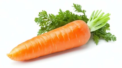 Carrot isolated on white background