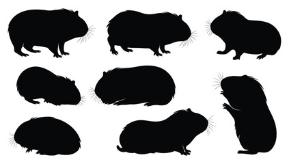 Vector Silhouettes of Guinea Pigs in Various Poses