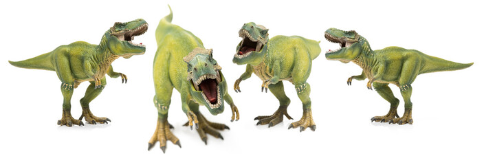 green tyrannosaurus on white background