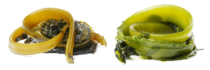 seaweed on white background © zcy