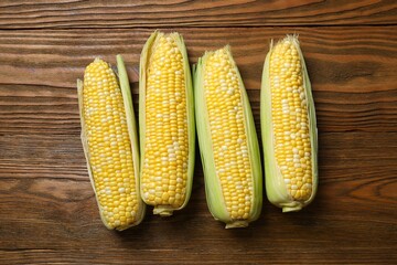 Fresh corn on cobs on wooden background, top view