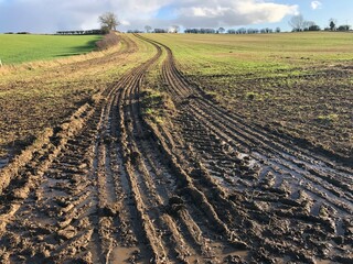 Muddy field with big tyre tracks on a sunny day in November, North Yorkshire, England , United...