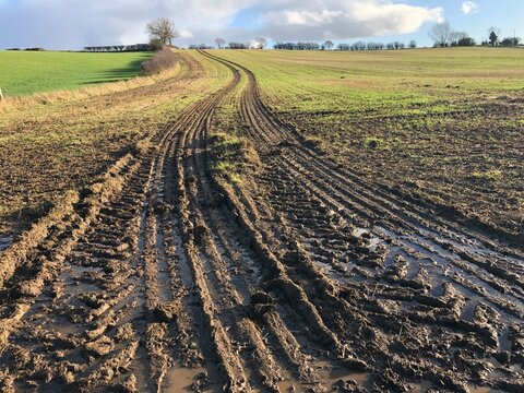 Muddy field with big tyre tracks on a sunny day in November, North Yorkshire, England , United Kingdom