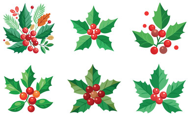 christmas berry leaves voctor white background