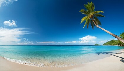 Obraz premium Beautiful tropical beach with palm trees, sunset beach seascape, design template for travel banner.
