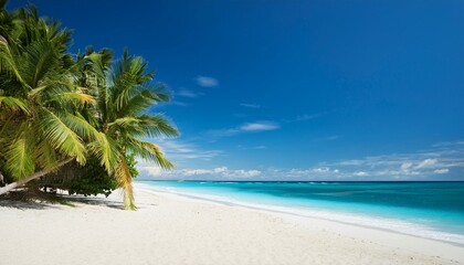 Obraz premium Beautiful tropical beach with palm trees, sunset beach seascape, design template for travel banner.