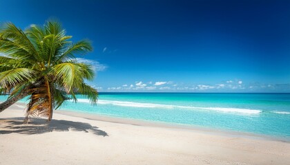 Fototapeta premium Beautiful tropical beach with palm trees, sunset beach seascape, design template for travel banner.