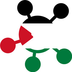 Palestine Flag on Customer insight