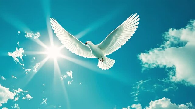 White dove soaring in bright sunlight against a vibrant blue sky with fluffy clouds.