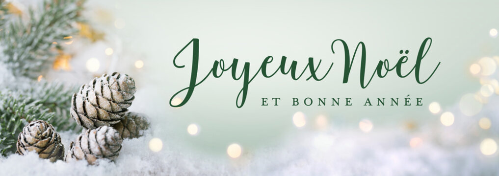 Christmas greeting card french text - Joyeux Noel, Merry Christmas and Happy New Year - Xmas snowscape, Natural Winter background with snow flakes, ice and golden lights - Panorama, banner, header