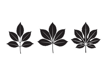 set of leaf