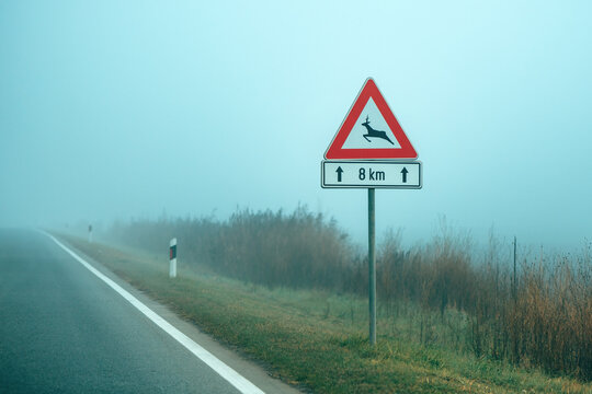 Wild animals In road traffic sign on foggy morning