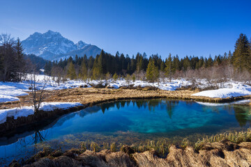 winter landscape in Zelenci, Slovenia
