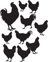 Hen chicken black isolated white background roosters silhouette vector set