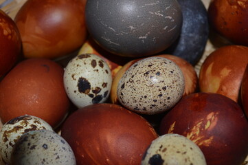 Traditional easter eggs dyed with onion peels and red cabbage