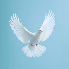 Obraz premium White Dove in Flight Illustration