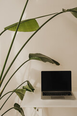 Serene Office Environment with Laptop and Green Leaves. Natural Ambiance