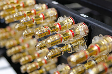  Banana connector for connecting the speaker system to an audio amplifier. Soft focus.