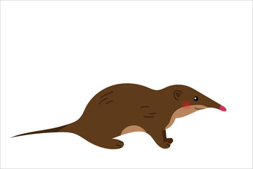 Cute shrew. Crocidura ramona. Vector simple color flat illustration.