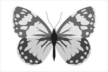 Cute black and white butterfly. Vector simple color flat illustration.