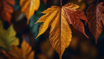 Obraz premium autumn leaves on the ground