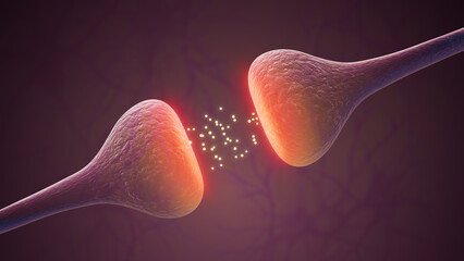 Active Synaptic Signals Strengthening Neural Pathways
