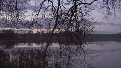 A tranquil twilight scene featuring a calm lake reflecting the cloudy sky, framed by intricate, bare tree branches. The horizon shows a distant landscape with subtle hills and a power line.