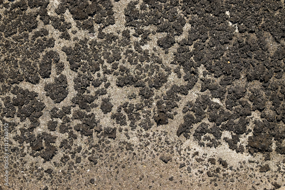 Poster the shape, pattern and soft texture of dry moss on the concrete floor. black dry moss looks grunge. 