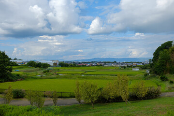 Fototapeta premium 奈良県広陵町の田園風景