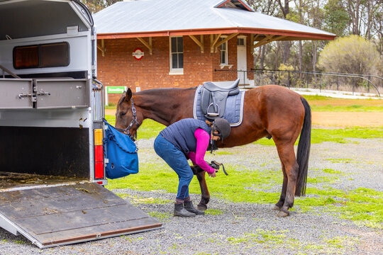 Woman cleaning the hoof of the horse beside float