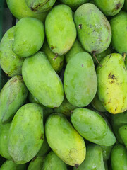 Several green mangoes for sale at a market in Bangkok, Thailand.