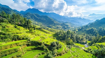 Obraz premium Breathtaking Panoramic View of Rice Terraces in the Mountains