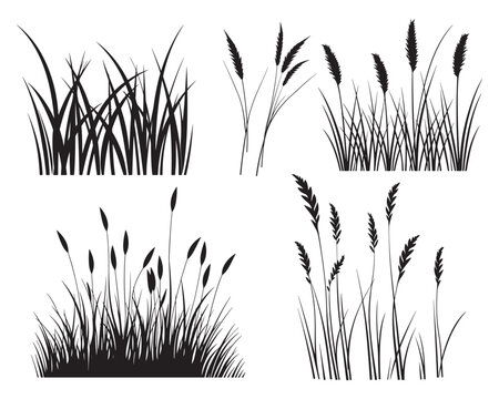 Set of grass silhouette vector illustration on white background