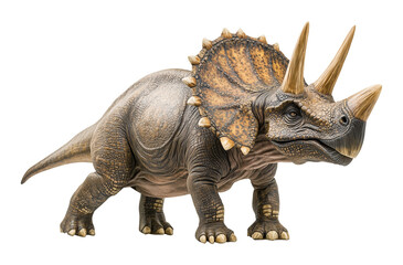 Obraz premium Triceratops Isolated on Transparent Background PNG 