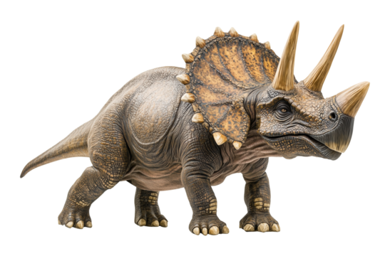 Triceratops Isolated on Transparent Background PNG
